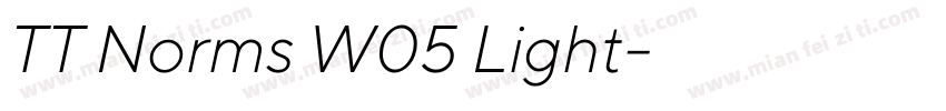 TT Norms W05 Light字体转换